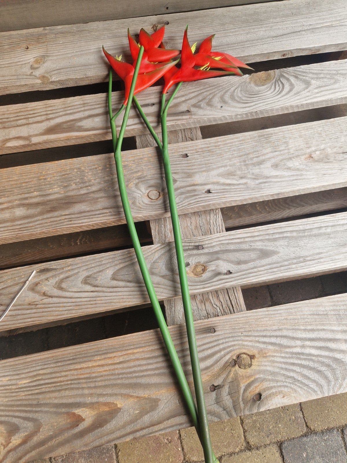 kunst heliconia, Ophalen, Groen, Kunstbloem, 88 cm