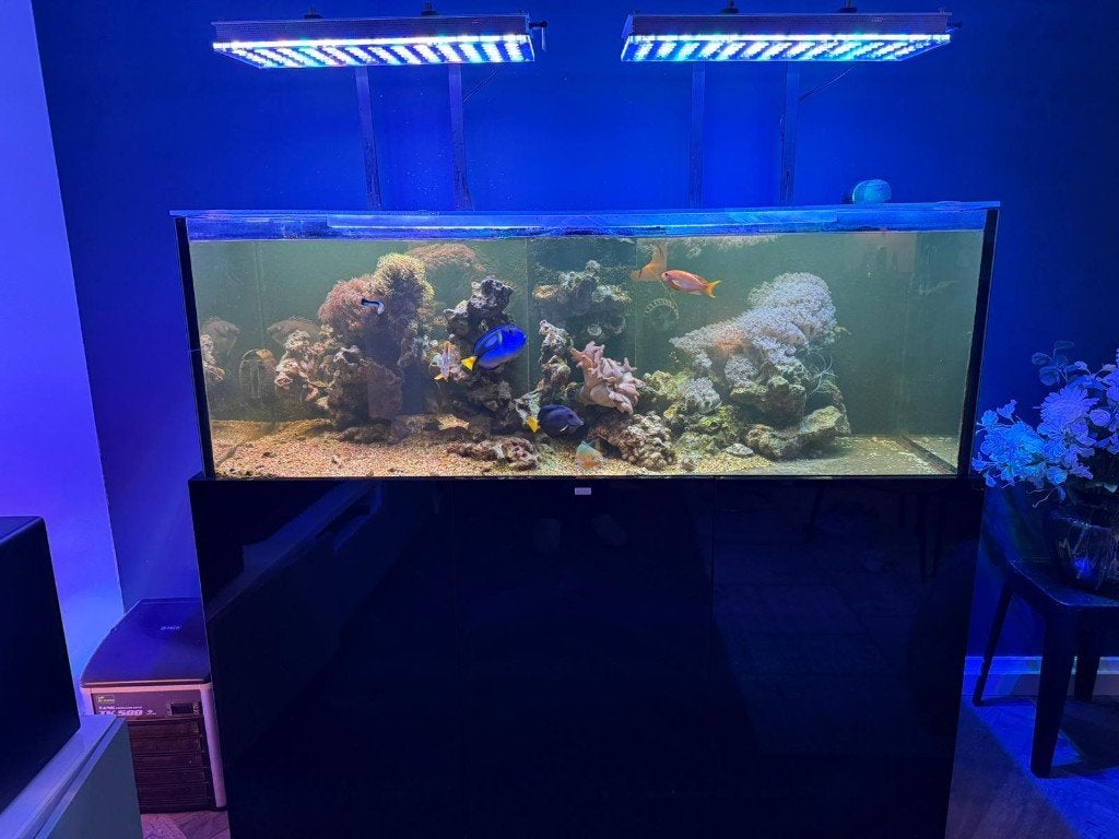 Zeewater Aquarium: Aquaja diamond Line XL zwart + dymico, Ophalen, Inclusief deksel, Zo goed als nieuw, Leeg aquarium