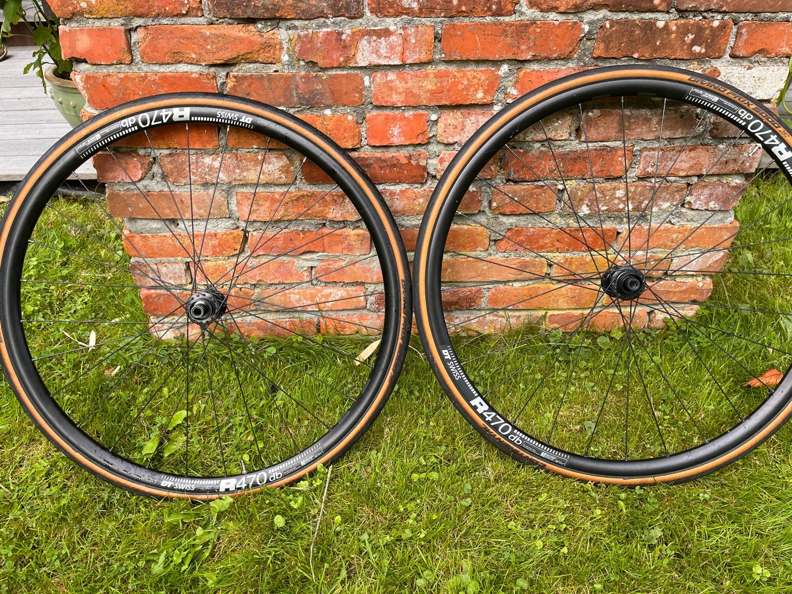 DT Swiss R470 db Wielset