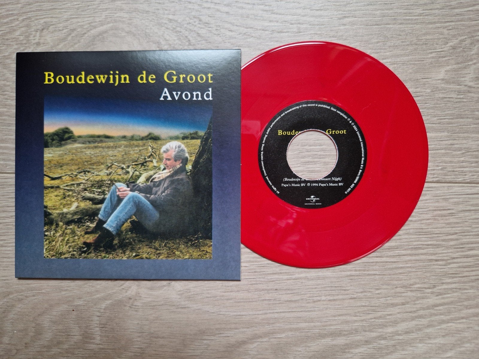 Boudewijn de Groot - Avond, Ophalen of Verzenden, Zo goed als nieuw, Nederlandstalig