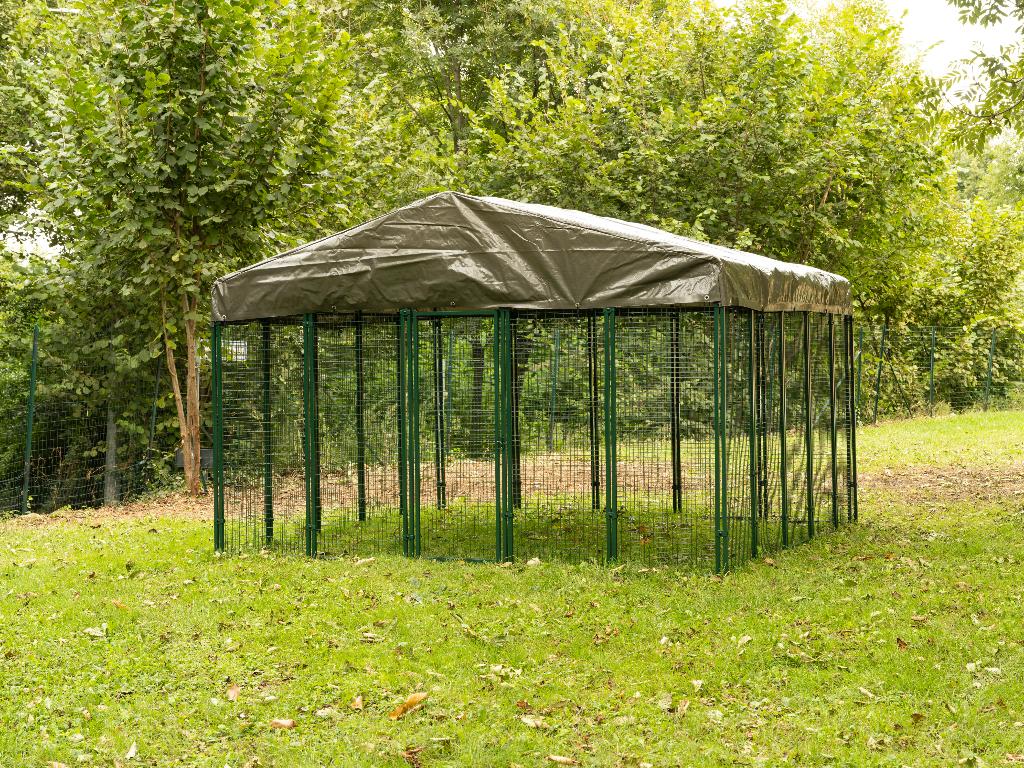 Kippenren | Staal | 3x3 meter | Cucciolotta, Ophalen of Verzenden, Nieuw, Kippenhok of Kippenren