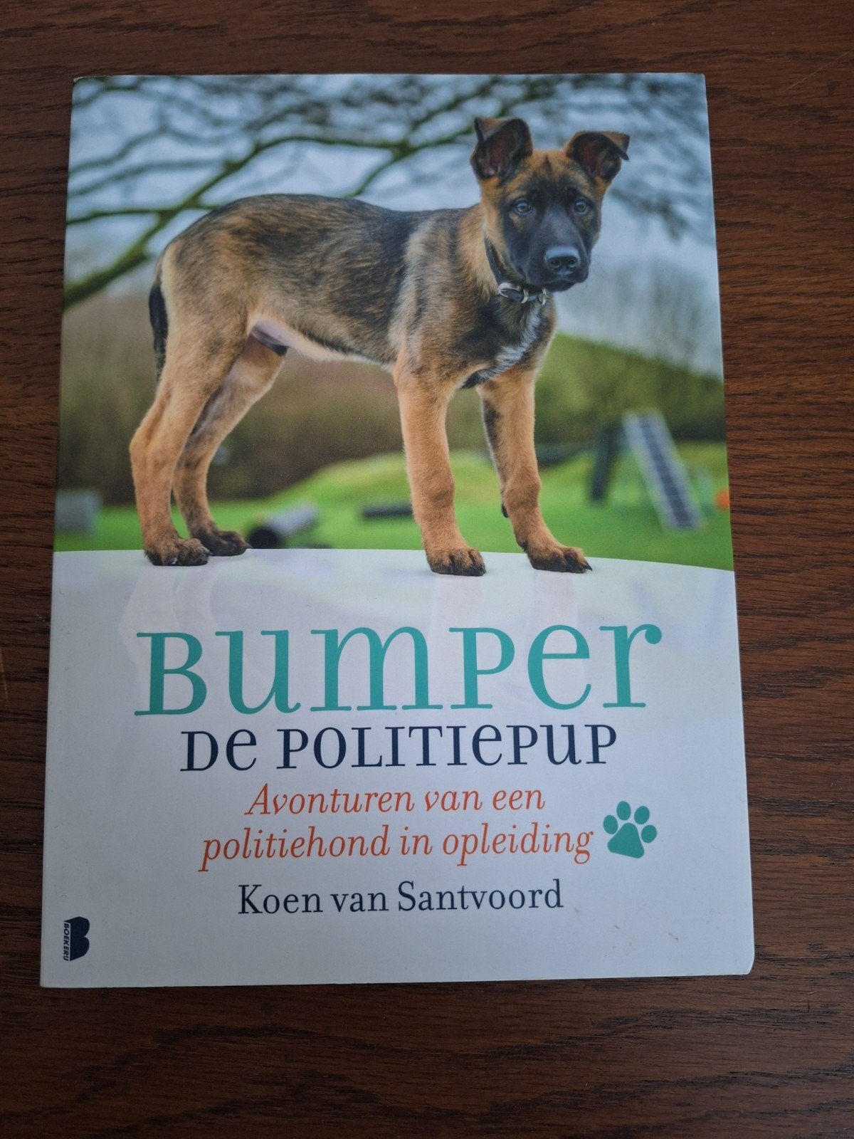 Koen van Santvoord - Bumper de politiepup, Boeken, Ophalen of Verzenden, Zo goed als nieuw, Koen van Santvoord