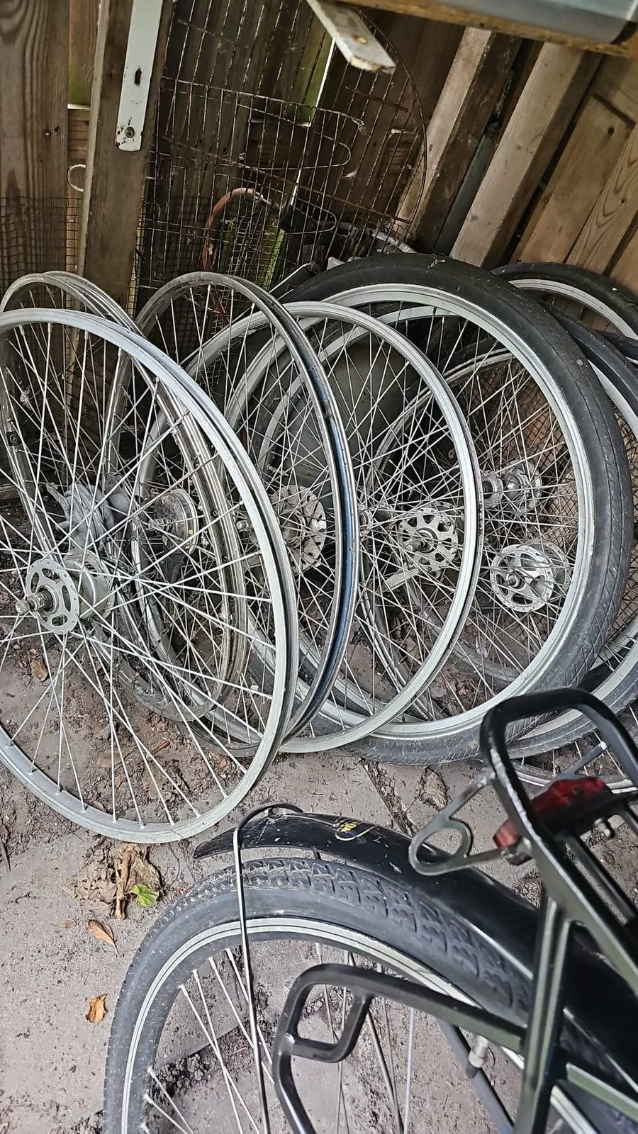 Fietswiel/ banden, Ophalen, Zo goed als nieuw, Band