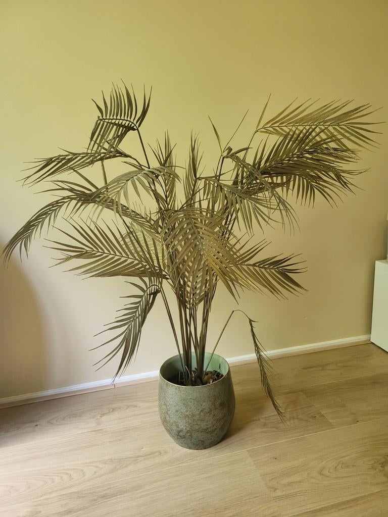 Gouden kunstpalm Woood met pot en houtsnippers, Ophalen, Binnen, Gebruikt, Kunstplant