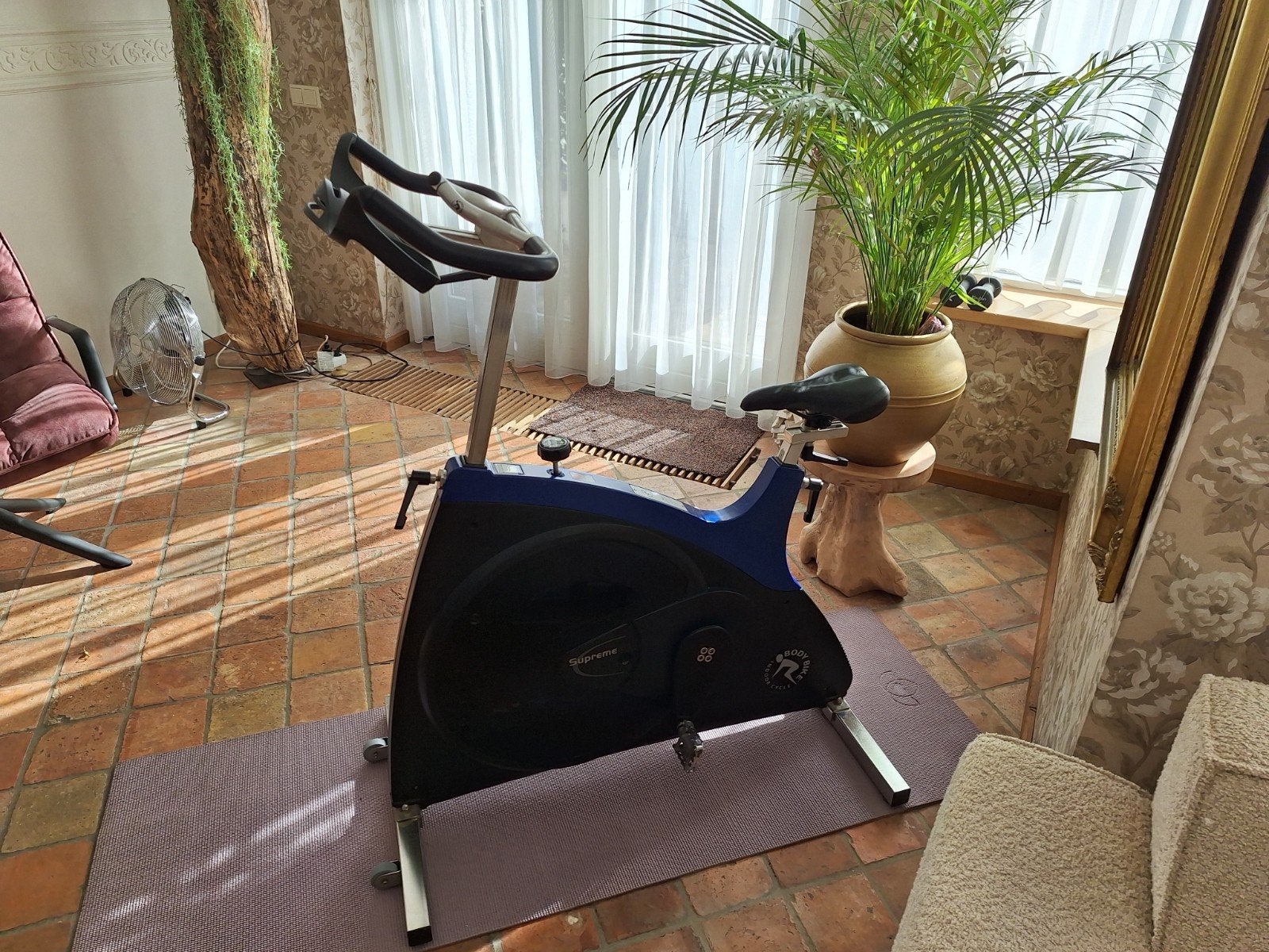 BODY BIKE Indoor / Spinningfiets - SUPREME, Ophalen, Gebruikt, Spinningfiets, Metaal