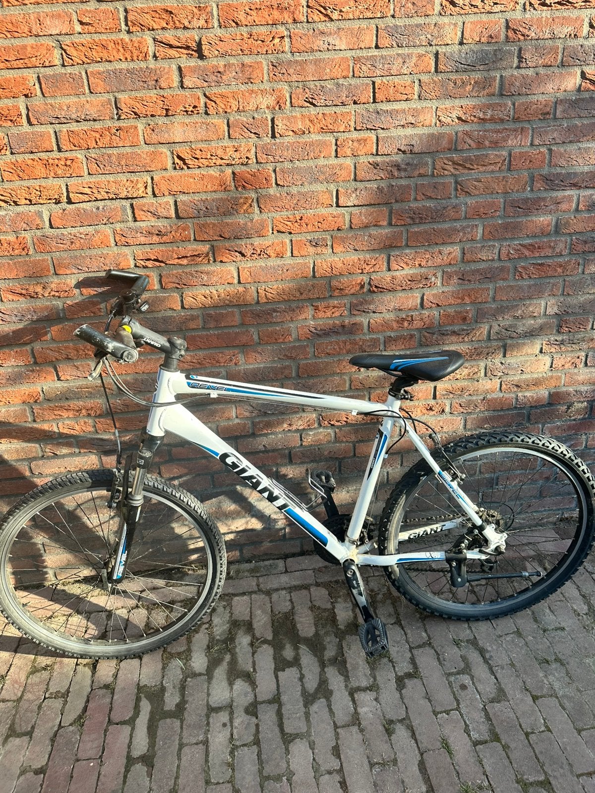 Giant Revel mountainbike – XL frame, Ophalen, Gebruikt, Heren, Giant