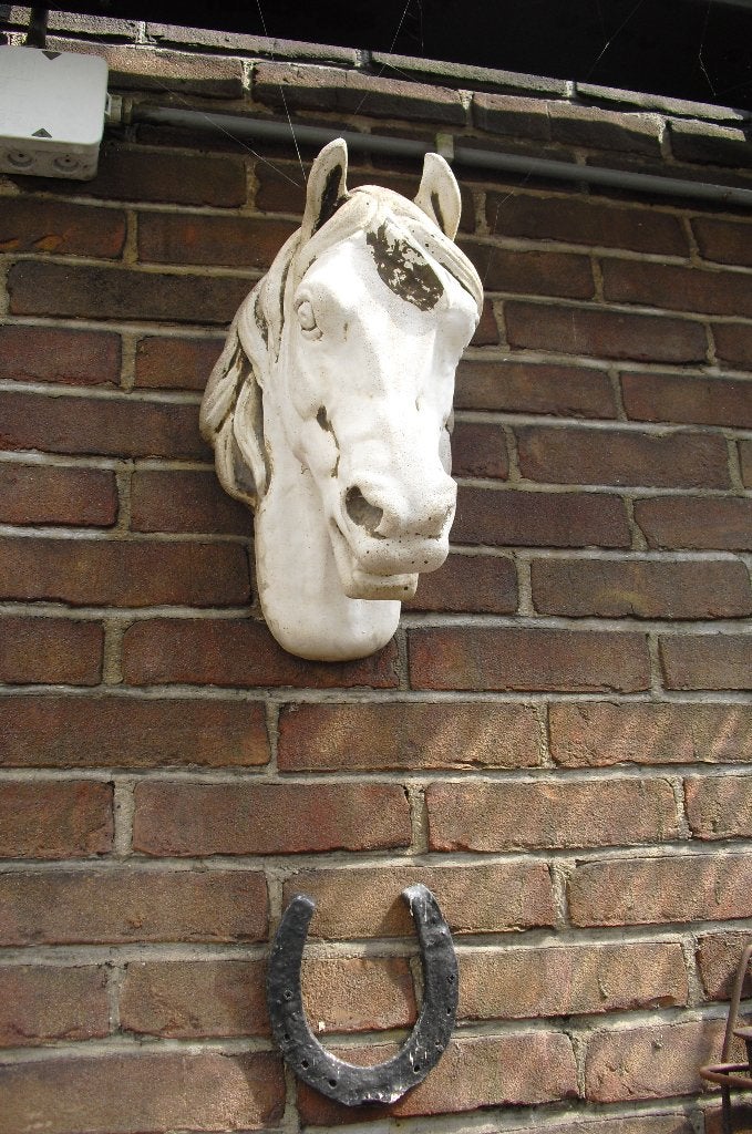 TE KOOP DECORATIEF TUINORNAMENT PAARDENHOOFD, Tuin en Terras, Ophalen, Gebruikt, Steen
