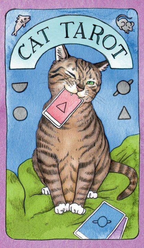 Megan Lynn Kott Cat Tarot, Boeken, Ophalen of Verzenden, Nieuw, Tarot of Kaarten leggen, Overige typen