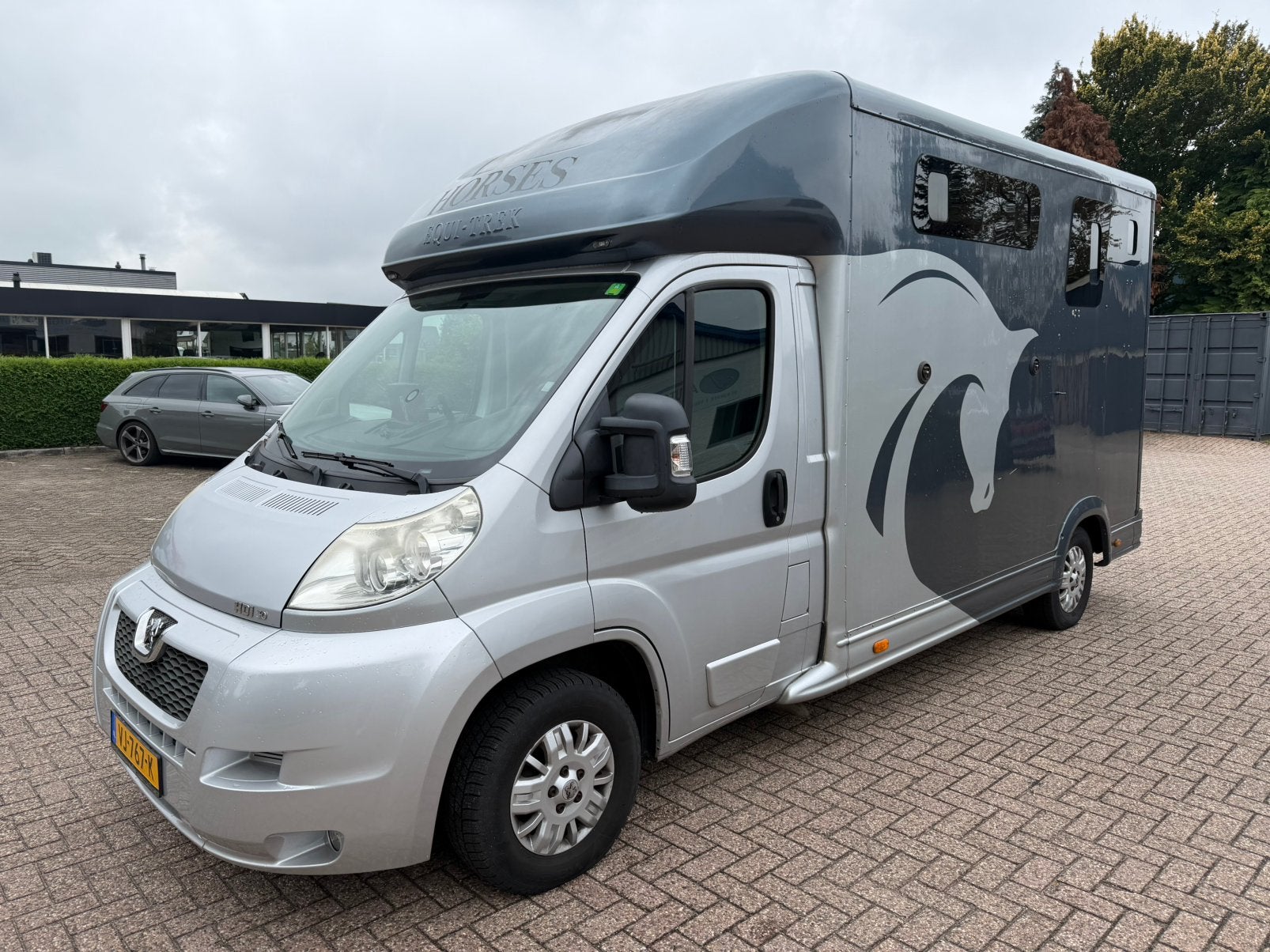 Paardenwagen  Paarden truckje, Dieren en Toebehoren, Ophalen of Verzenden, Gebruikt, Polyester, 2-paards trailer