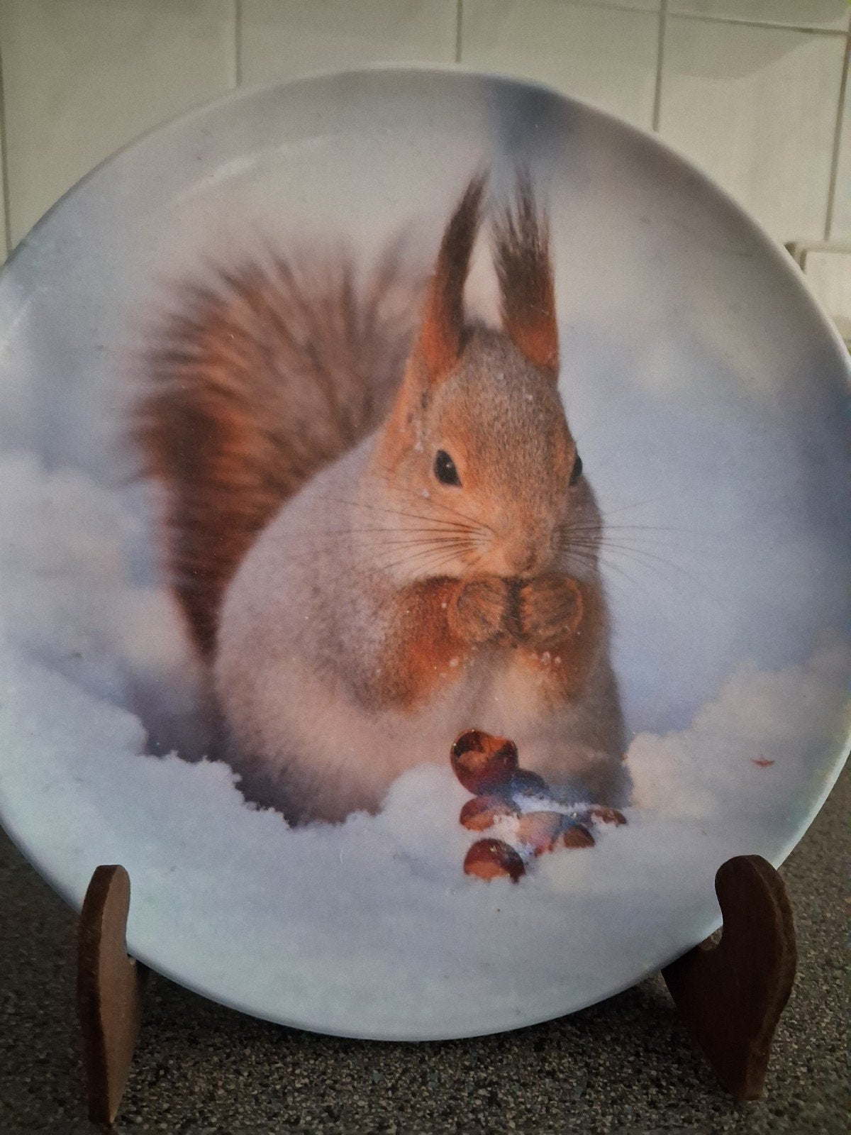 LEUKE APARTE BORDJES melamine 20 cm, Overige materialen, Ophalen of Verzenden, Zo goed als nieuw, Bord(en)