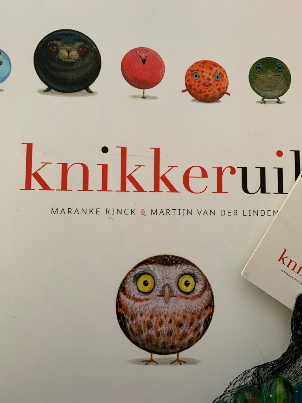 Knikkeruil - Maranke Rinck & Martijn van der Linden, Ophalen of Verzenden, Zo goed als nieuw, Fictie algemeen
