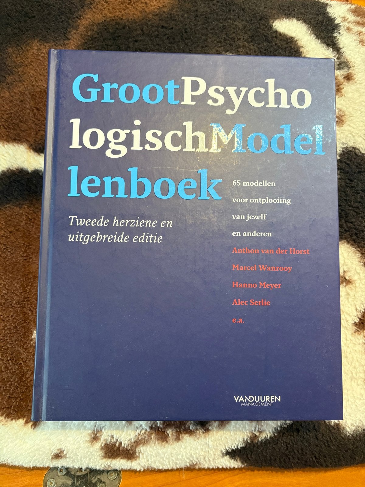 Groot Psychologisch Modellenboek - 2e herziene editie, Ophalen of Verzenden, Gamma, Zo goed als nieuw, HBO