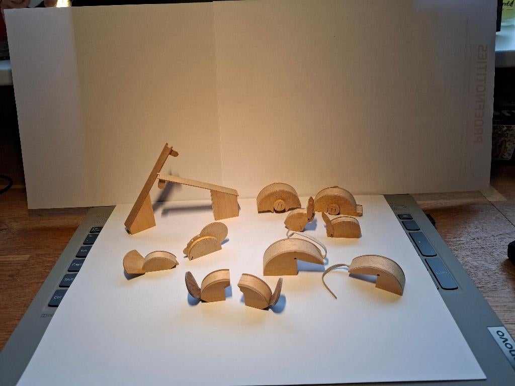 houten beestjes, Ophalen of Verzenden, Zo goed als nieuw, Dier