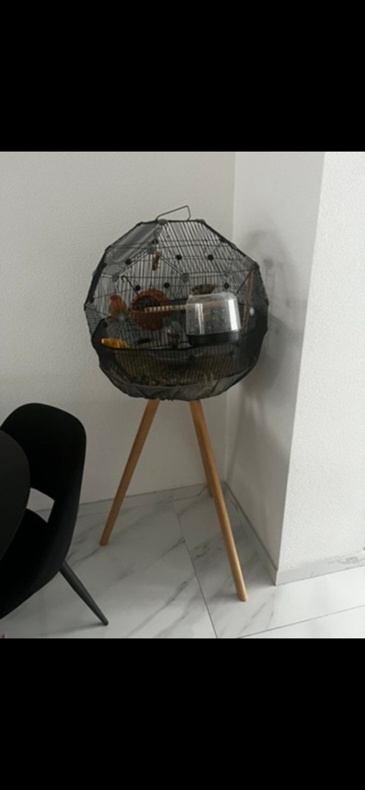 Omelet vogelkooi met standaart en accessoires, Ophalen, Zo goed als nieuw, Metaal, Vogelkooi