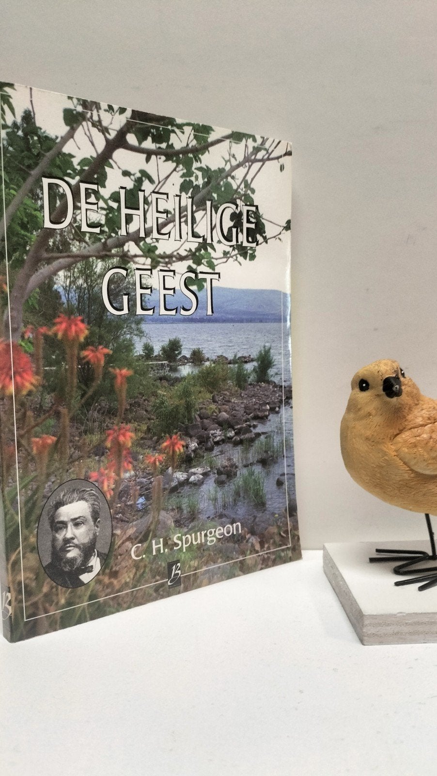 Spurgeon, C.H.; De Heilige Geest (nr 8 Boekhout, Ophalen of Verzenden, Gelezen, Christendom | Protestants