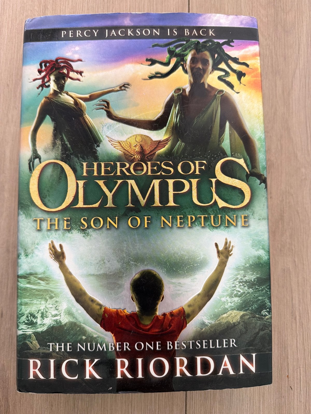 Heroes of Olympus: The Son of Neptune - Rick Riordan, Boeken, Ophalen, Gelezen
