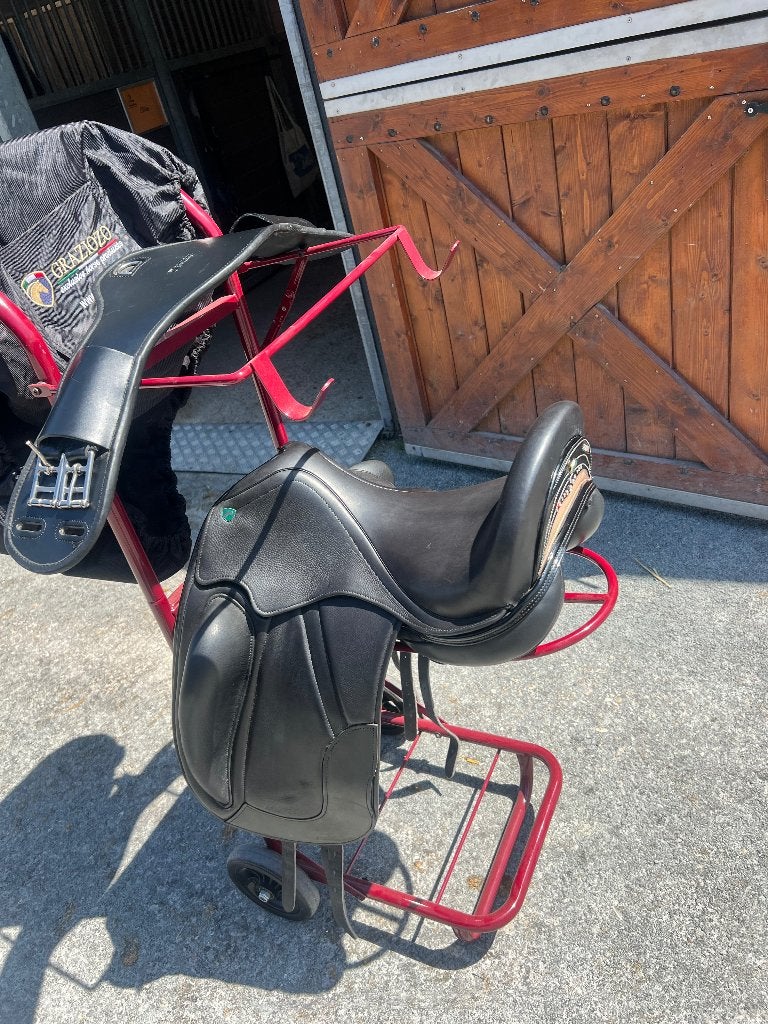 Graziozo Capri 17", Ophalen, Zo goed als nieuw, Dressuur