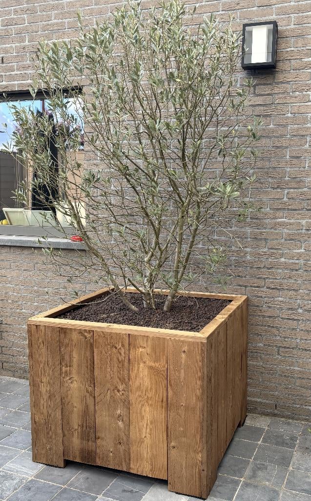 Plantenbak van Thermowood - nu met 10%korting, Rond, Nieuw, Ophalen of Verzenden, Balkon