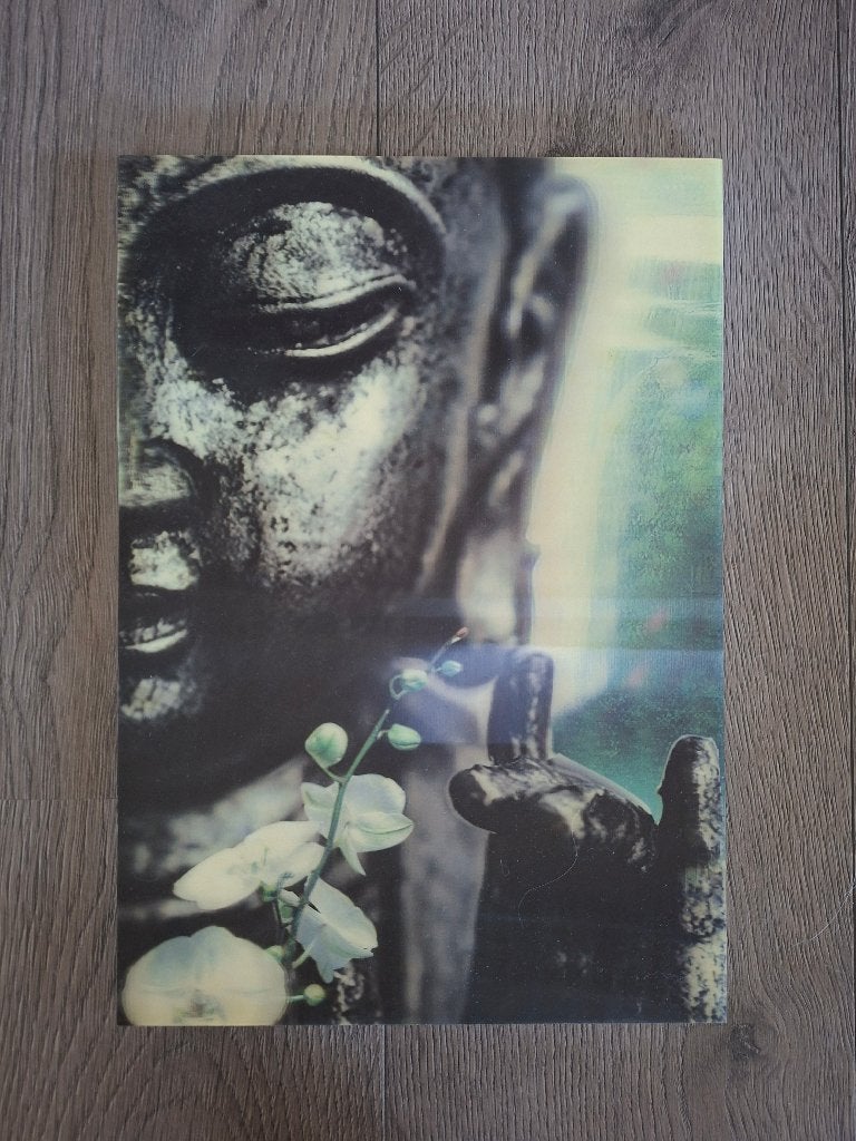 3-d schilderijtje foto  Buddah, Ophalen, Minder dan 50 cm, Zo goed als nieuw, Foto of Poster