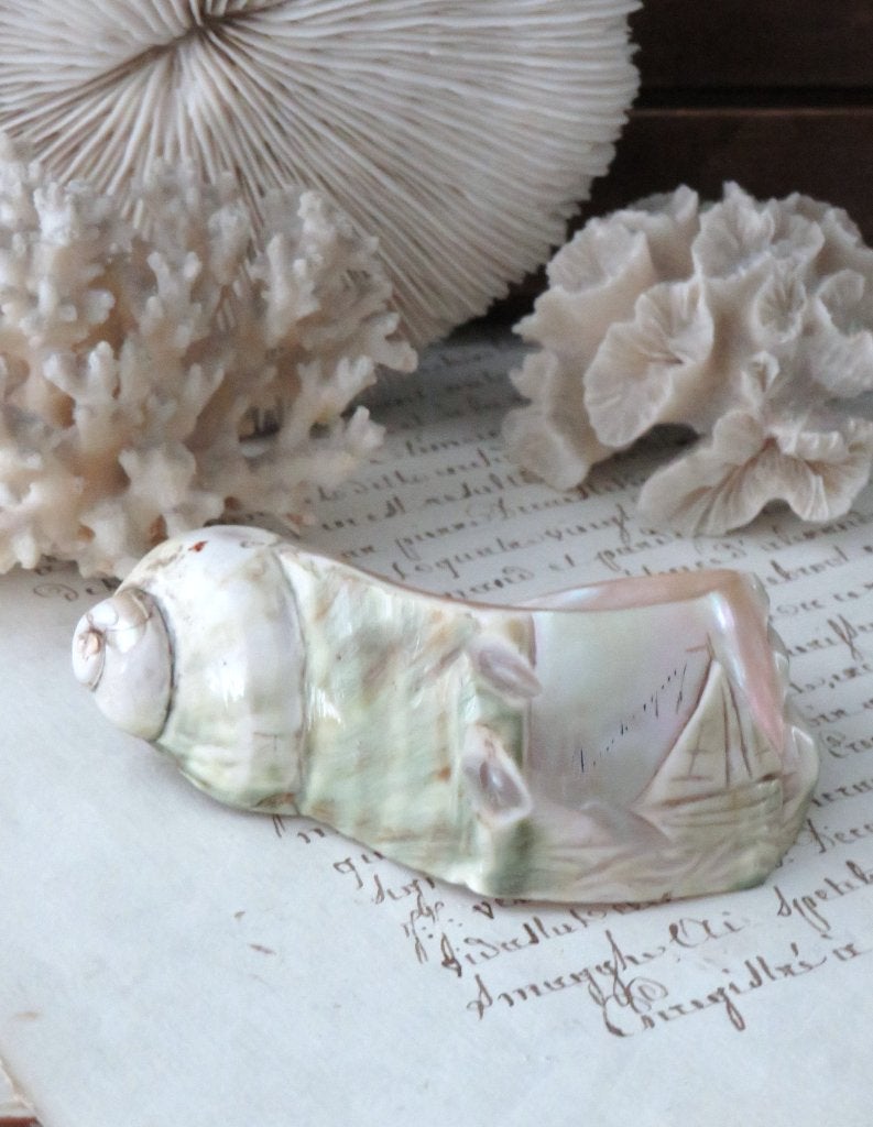 Antieke servetring schelp “Dunkerque”, Antiek en Kunst, Ophalen of Verzenden
