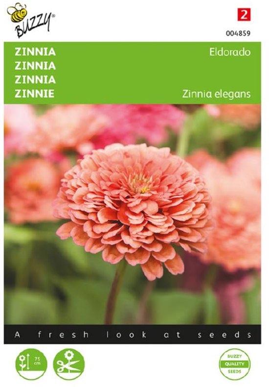 Zinnia Eldorado 1 gram - Buzzy - Zaden - GRATIS VERZENDING