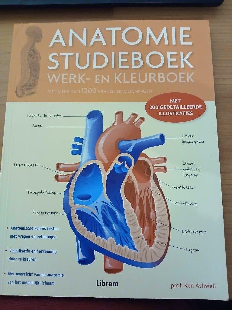 Anatomie studieboek - werk- en kleurboek, Verzenden, HBO, Zo goed als nieuw, Ashwell, Ken