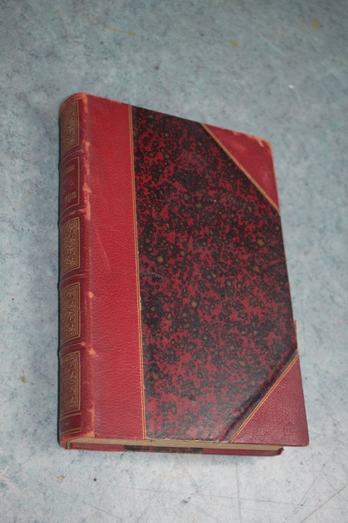 Boek 1886 Dante Alighieri divine comedie, Ophalen of Verzenden