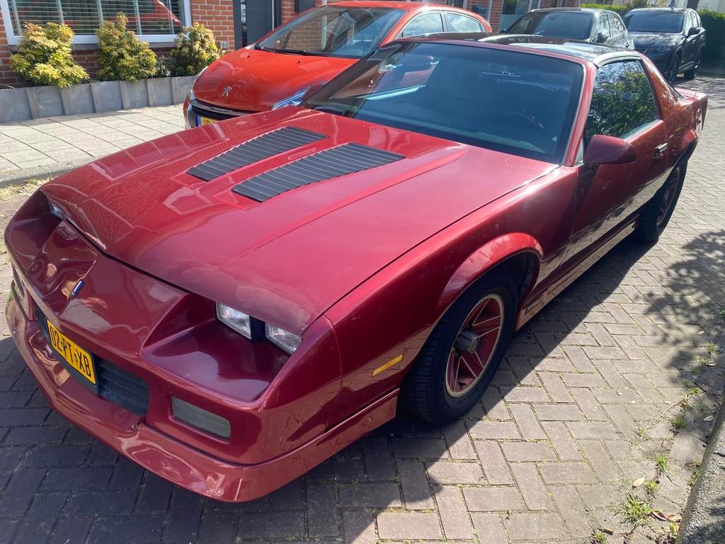 OLDTIMERS EN KLASSIEKERS GEVRAAGD, Automaat, 1618 kg, Wit, 4097 cc