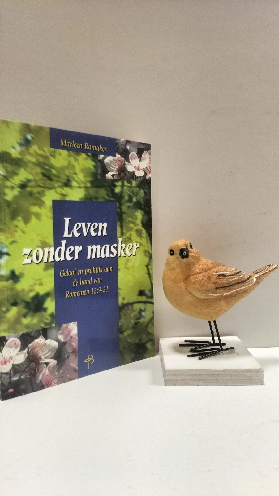 Ramaker, Marleen; Leven zonder masker, Ophalen of Verzenden, Gelezen, Christendom | Protestants