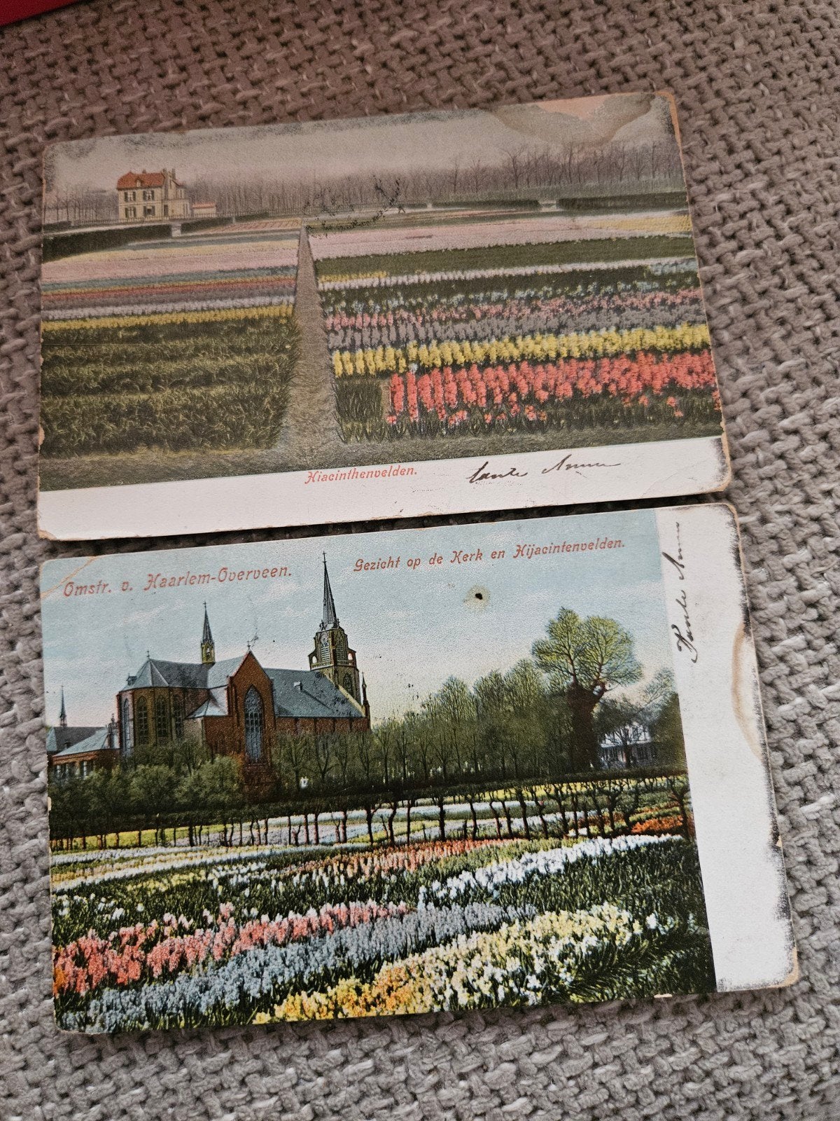 Haarlem bloemvelden 1905, Verzamelen, Ophalen of Verzenden, Voor 1920, Gelopen, Noord-Holland