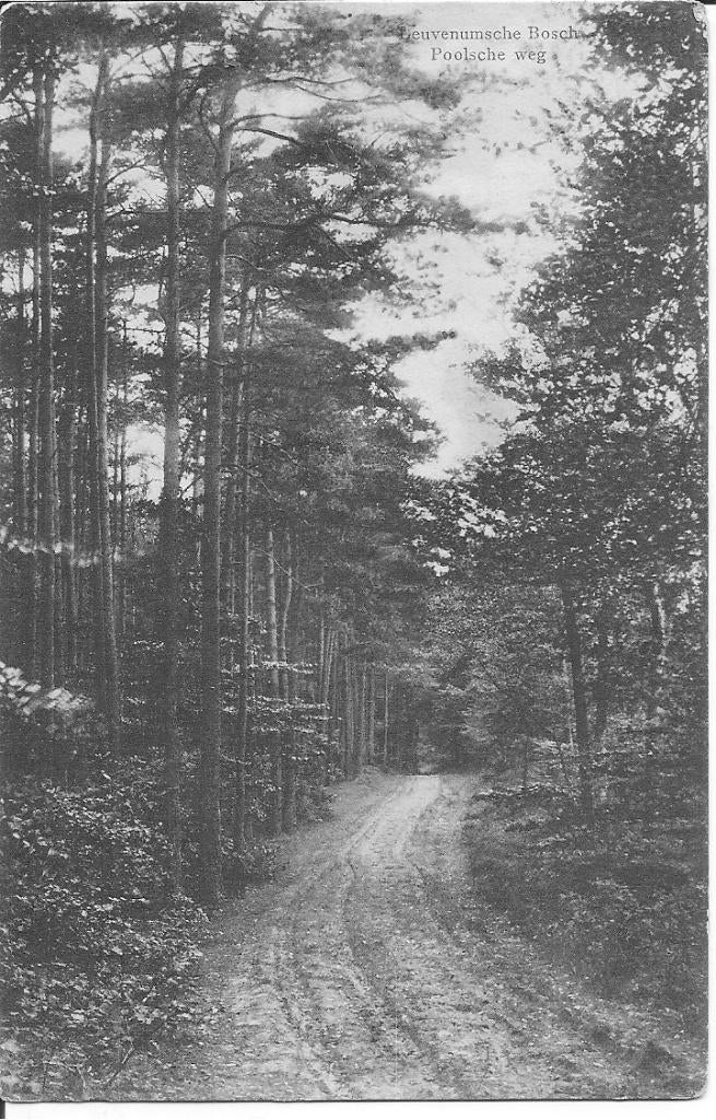 Elspeet Leuvemsche Bosch Poolscheweg., Ophalen of Verzenden, Voor 1920, Gelopen, Utrecht