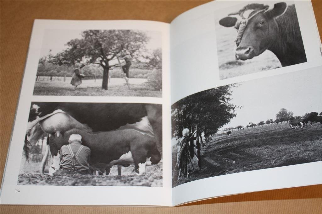 Jan, d\'r is volk op de deel. Langs oude Veluwse hoeven., Ophalen of Verzenden, Gelezen