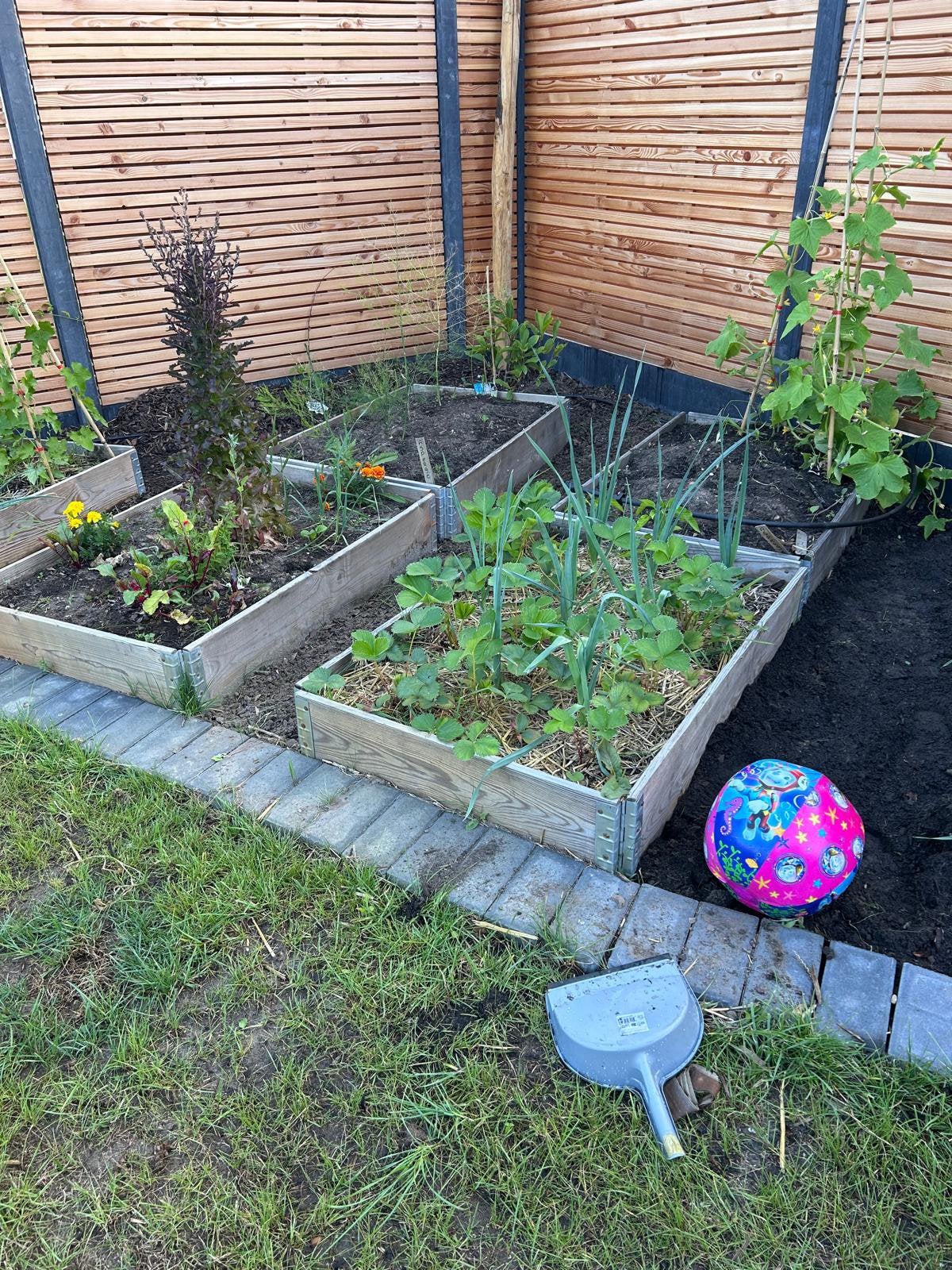Moestuin bakken, Ophalen, Minder dan 30 cm, 100 cm of meer, Zo goed als nieuw