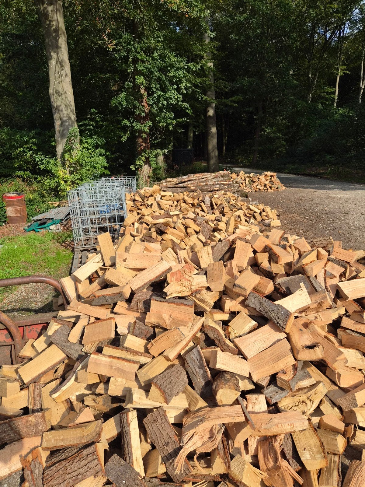 Mooie Eiken, 6 m³ of meer, Ophalen, Eikenhout