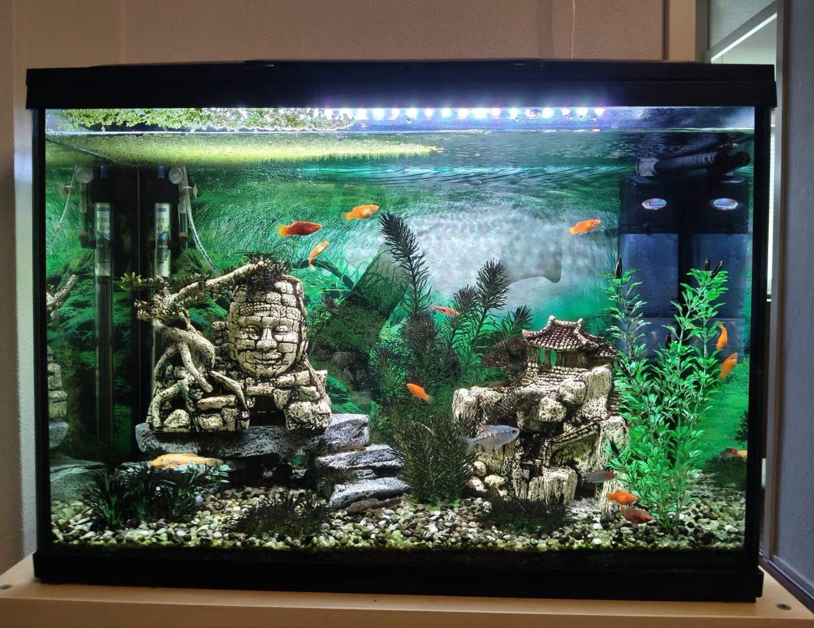 Aquarium superfish 110l, Dieren en Toebehoren, Vissen | Aquaria en Toebehoren, Ophalen, Zo goed als nieuw, Leeg aquarium, Superfish