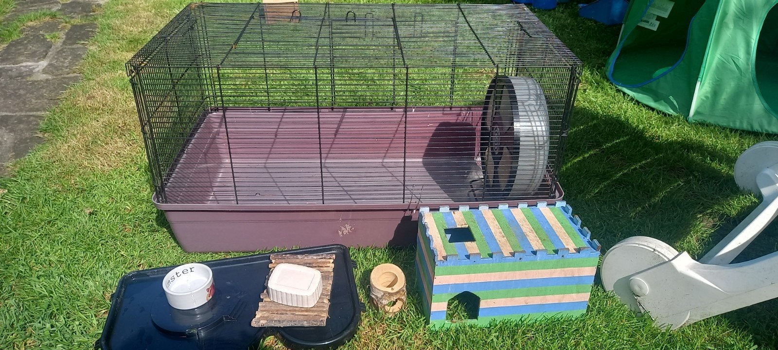 Hamsterkooi en extra's, Dieren en Toebehoren, Ophalen, Minder dan 75 cm, Kooi, Minder dan 60 cm