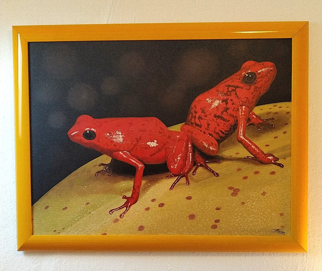 Levensecht schilderij, rode kikkers, met lijst, i.z.g.st., Ophalen, Gesigneerd