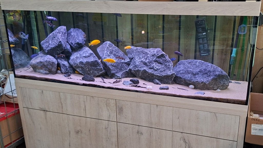 Aquatlantis Aquarium Sublime 200x60x60, Dieren en Toebehoren, Ophalen, -, Inclusief vissen, -