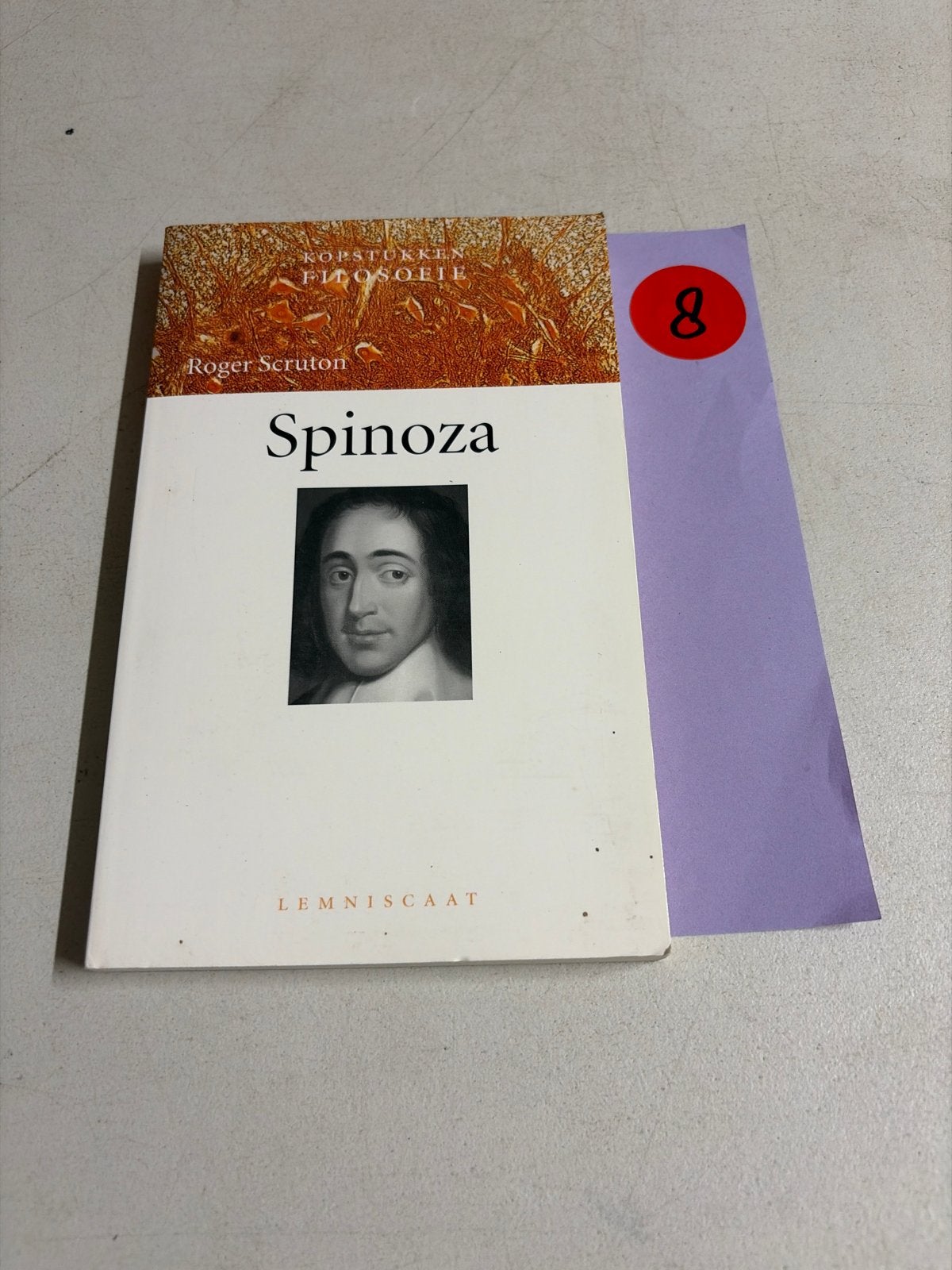Spinoza - Kopstukken Filosofie door Roger Scruton, Ophalen of Verzenden, Zo goed als nieuw, Metafysica of Natuurfilosofie