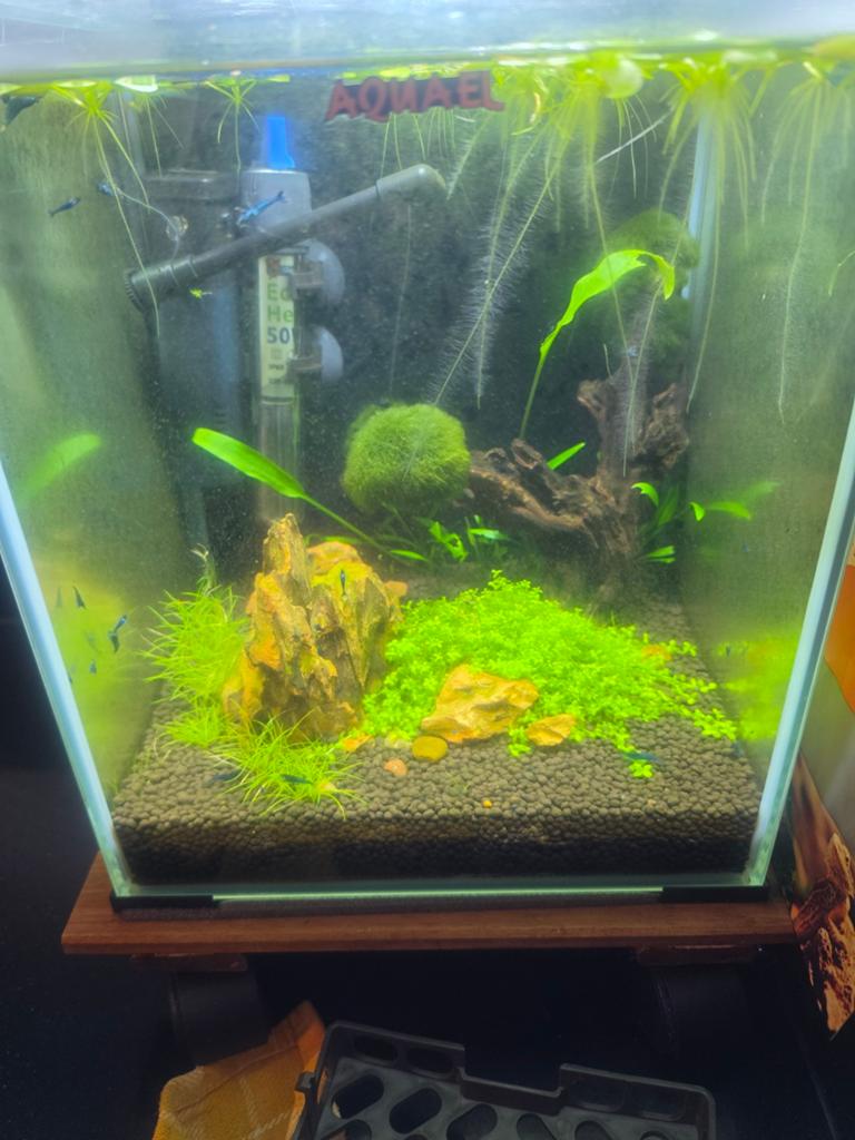 Complete aquarium, Ophalen of Verzenden, Zo goed als nieuw, Leeg aquarium