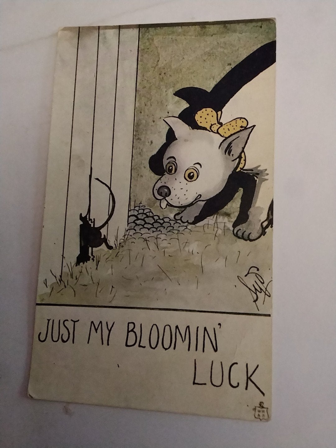 Antieke Ansichtkaart: Hond en Muis - 'Just My Bloomin' Luck', Ophalen of Verzenden, Voor 1920, Gelopen, Natuur