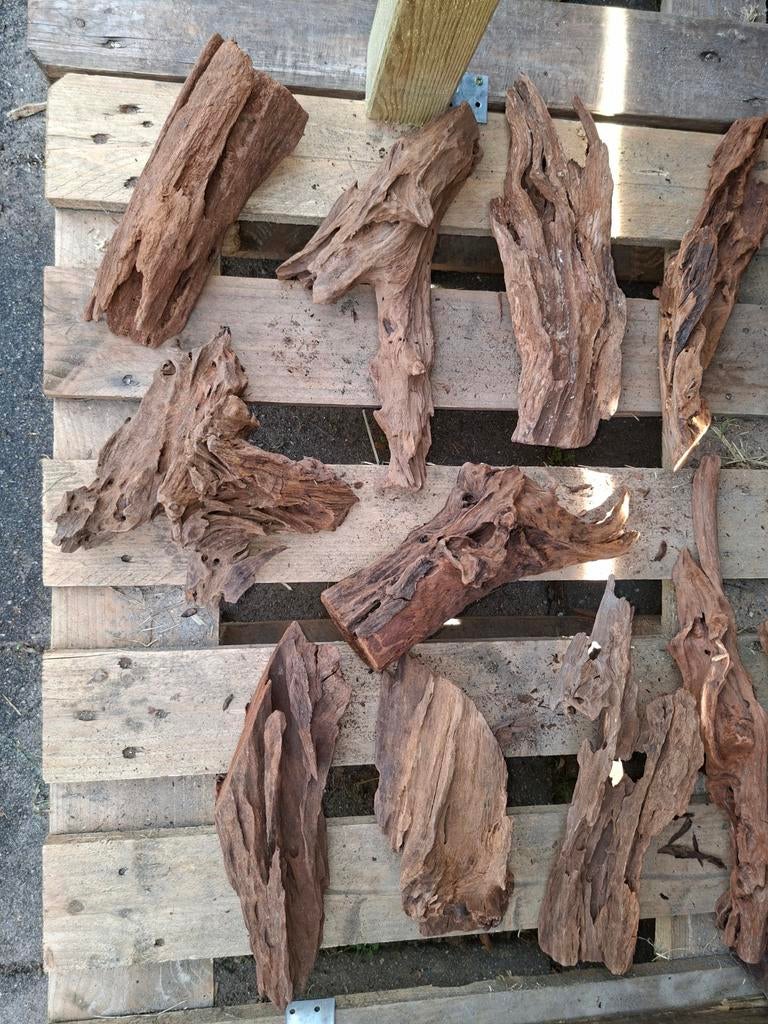 Driftwood, Ophalen of Verzenden, Tak, Plant, Rots of Steen