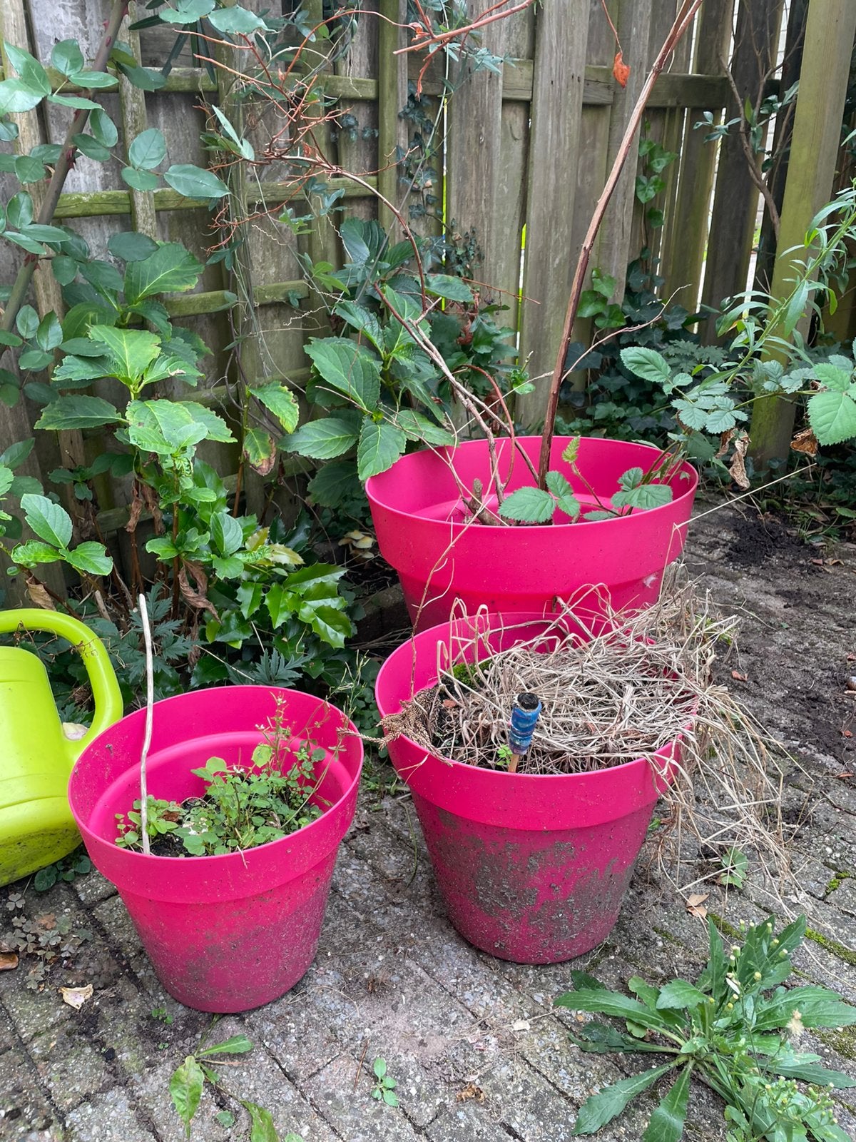 Roze plantenpotten voor buiten, Tuin en Terras, Ophalen, Kunststof, Minder dan 30 cm, Rond