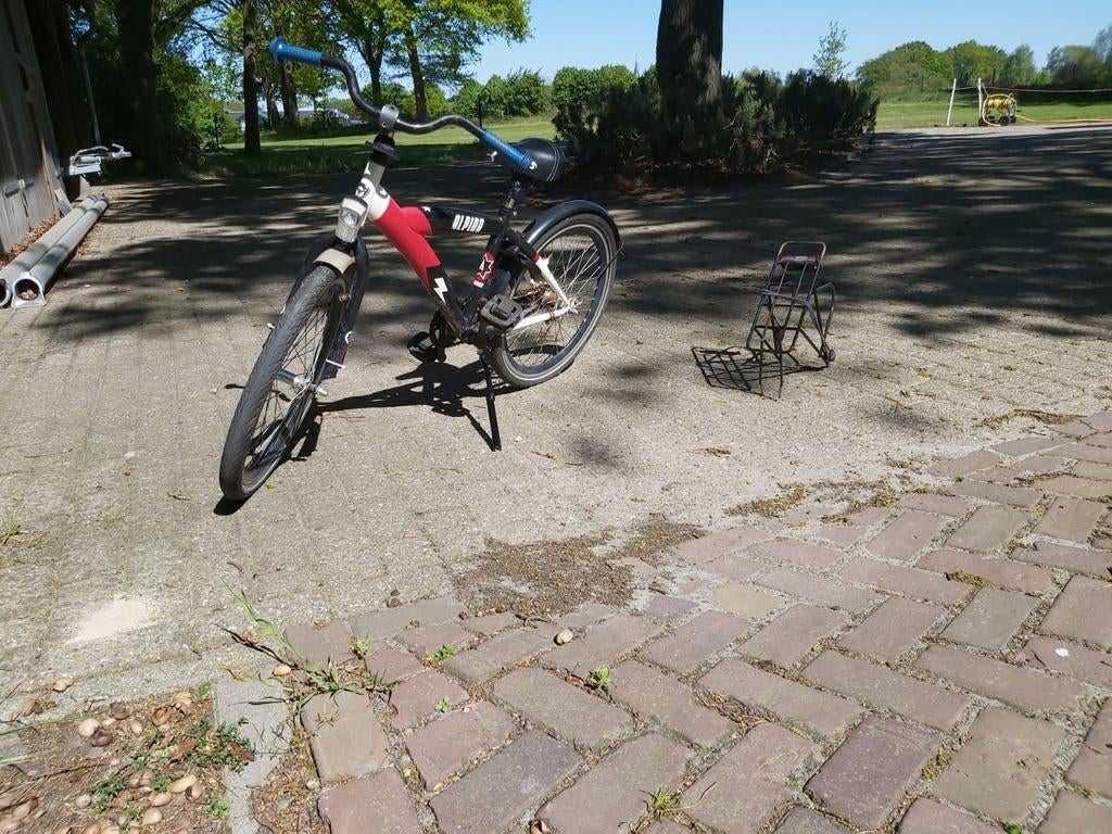 Alpina fiets te koop, Ophalen, Gebruikt, Aanhangfiets