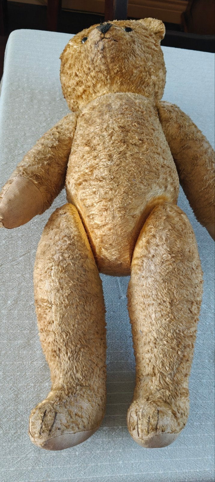 Vintage Teddybeer - Minimaal 65 jaar oud, Verzamelen, Ophalen