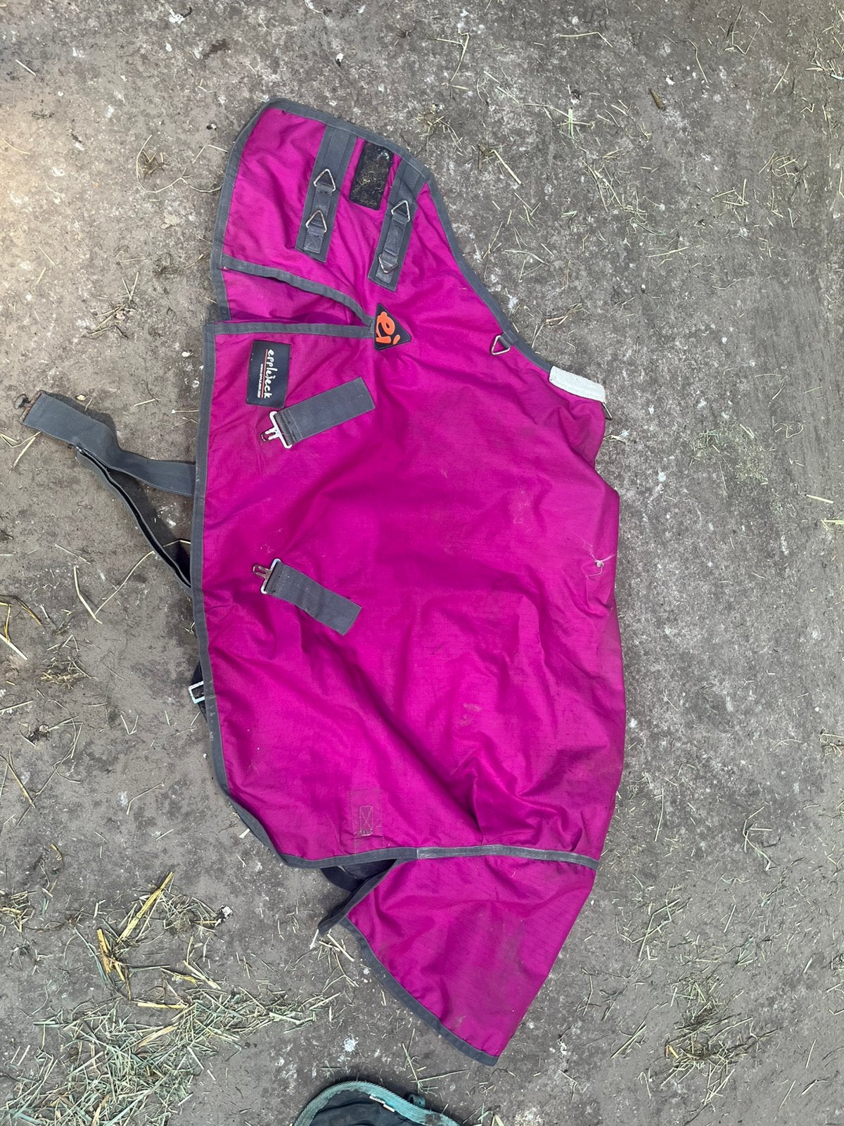 Deken Epplejeck 125cm, Shetlander/Mini, Ophalen of Verzenden, Zo goed als nieuw, Epplejeck