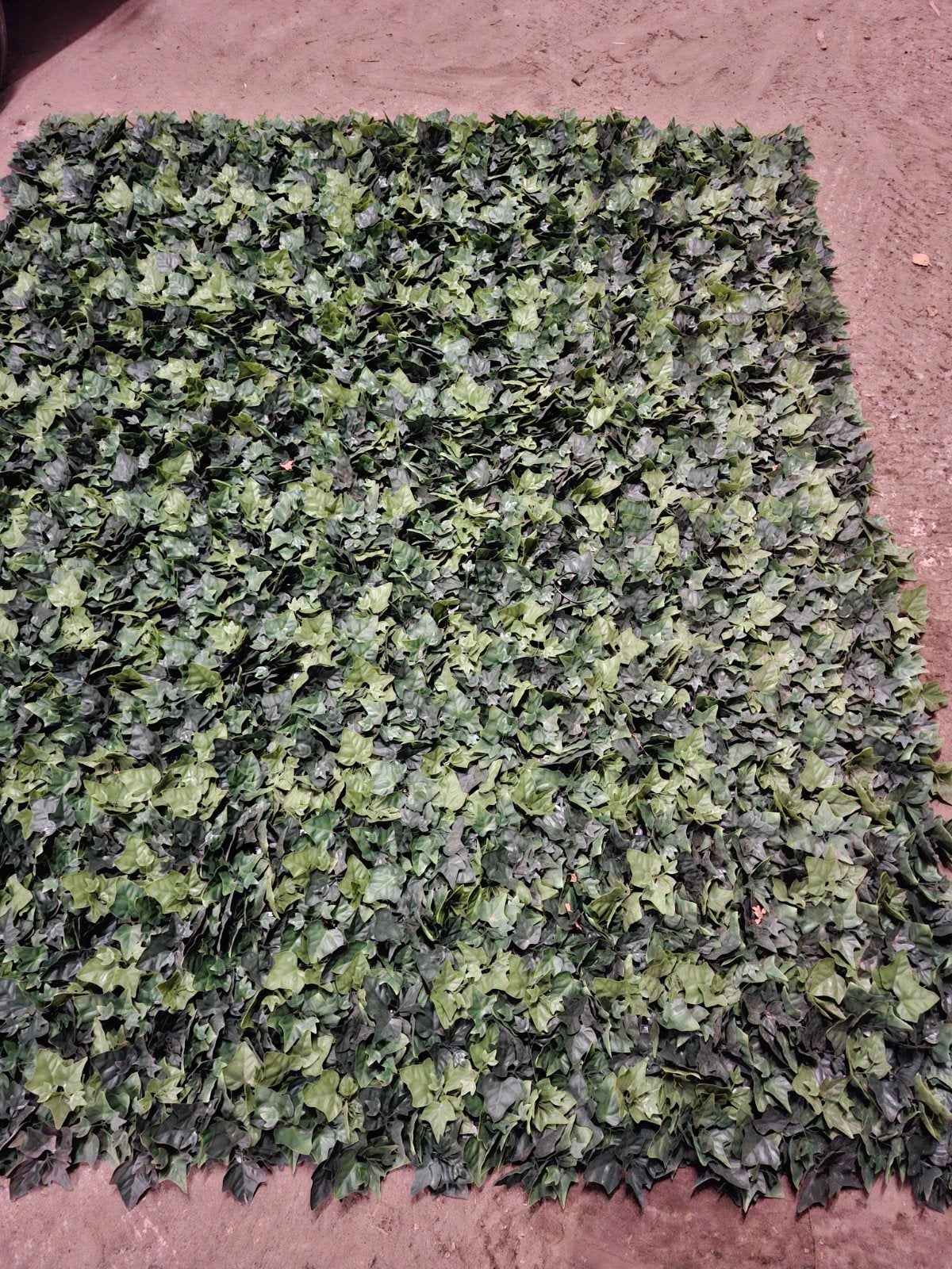 Kunst hedera te koop, Tuin en Terras, Ophalen
