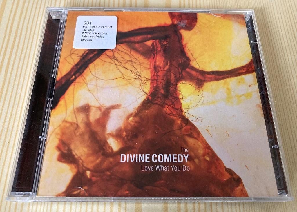 CD Single Divine Comedy - Love What You Do (CD 1 of 2), Ophalen, Maxi-single, Zo goed als nieuw, 1 single