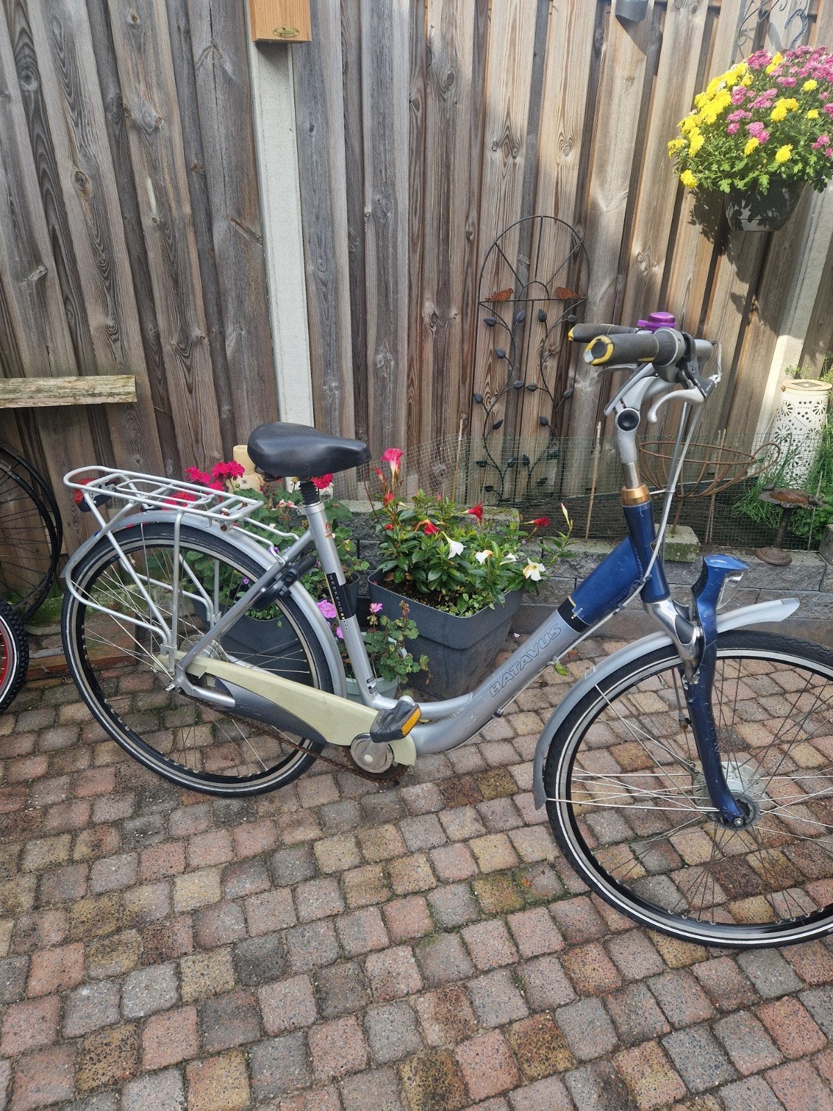batavus damesfiets, Fietsen en Brommers, Ophalen, Versnellingen, Batavus, Trommelrem