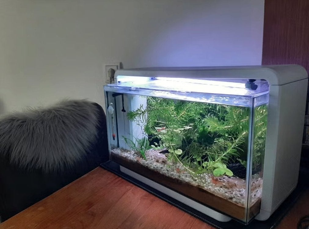 Aquarium Superfish met inhoud, Ophalen, Gebruikt, Leeg aquarium, Superfish